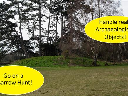 Festival of Archaeology on Petersfield Heath