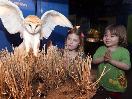 WILD celebrating the Natural History of the British Isles