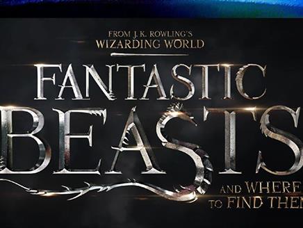 Fantastic Beasts Film Night