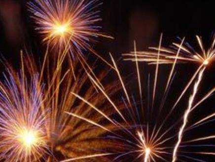 Fryern Federation Firework Night