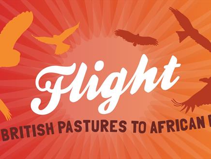Flight: From British Pastures to African Plains at Hawk Conservancy Trust