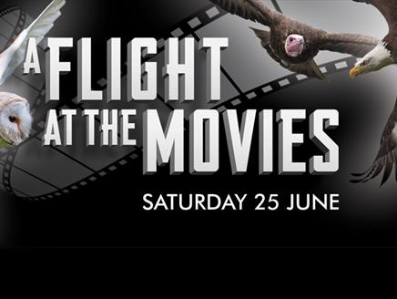 Flight at the Movies at the Hawk Conservancy Trust