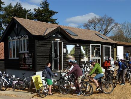Forest Leisure Cycling
