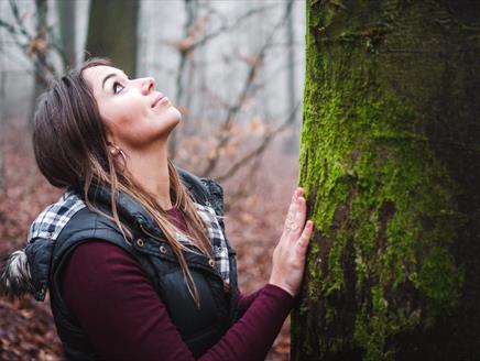 Forest Bathing at Sir Harold Hillier Gardens