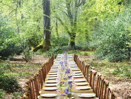 Wild Feasts at Ewhurst Park