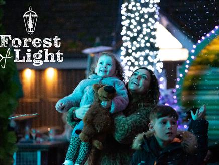 Forest of Light at Sandy Balls Holiday Village