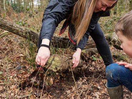 Cadbury Easter Egg Hunt at Foxbury, New Forest