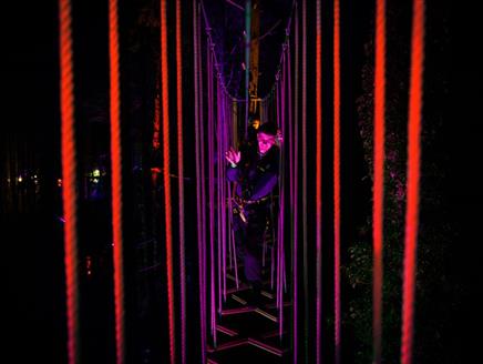 Go Ape x Sundown Adventures at Go Ape Alice Holt
