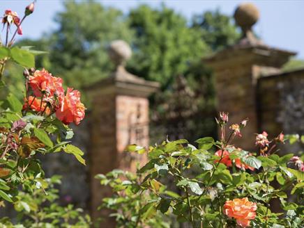 Chawton House Garden Festival