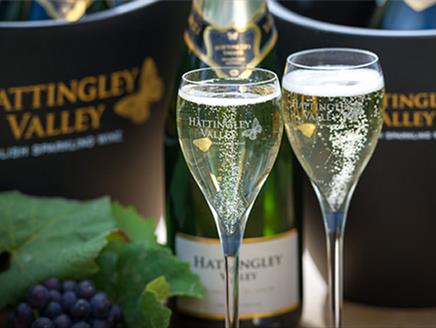 Winery Tours & Tastings at Hattingley Valley Wines