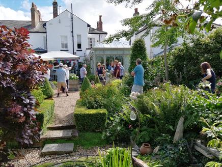 Alverstoke Garden Walkabout