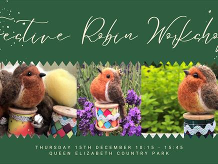 Festive Felted Robin Workshop