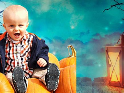 Toddler with pumpkins