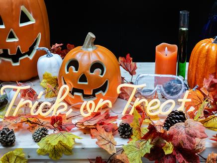 Halloween display with pumpkins, autumn leaves and neon lights