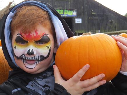 It's Frightfully Fun at the Farm at Longdown Activity Farm