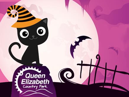 Magical Mayhem at Queen Elizabeth Country Park