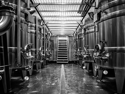 Hambledon Vineyard WSET Level 1