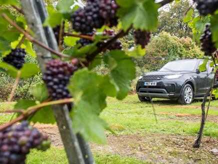 Hampshire Vineyards Cellar Doors Tour