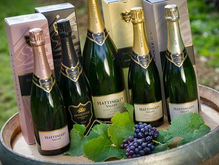 Hattingley Valley Cellar Door Experience