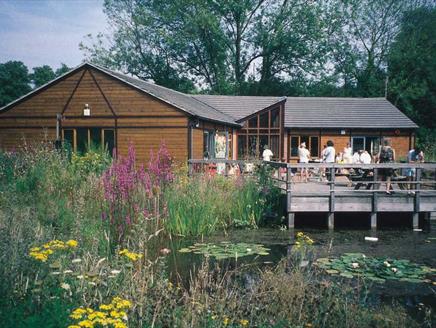 Hawthorns Wildlife Centre