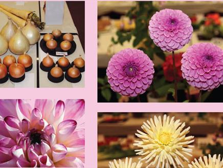 Hayling Island Horticultural Society Autumn Show