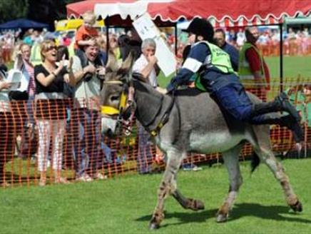 Hayling Lions Donkey Derby