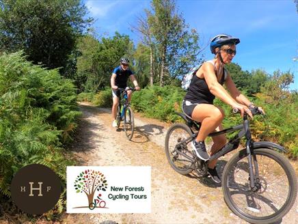 Hazelhurst Farm New Forest Cycle Tour