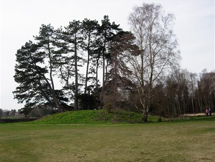The Archaeology of Petersfield with Petersfield Museum