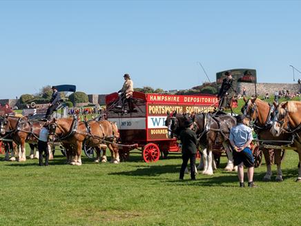 The Lord Mayor's Rural & Seaside Show