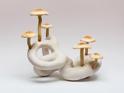 Somerset House X Heckfield: Art of the Mushroom
