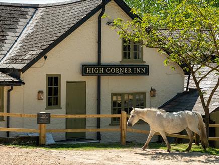 The exterior of The High Corner Inn with a New Forest Pony in the foreground