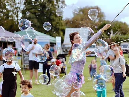 Circus performers workshop at Hinton Ampner