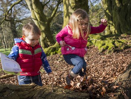 Hidden Nature trail at Hinton Ampner