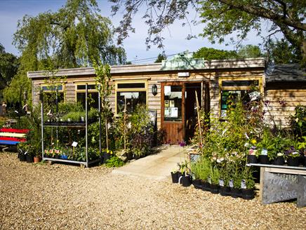 Hockey's Farm Shop Cafe