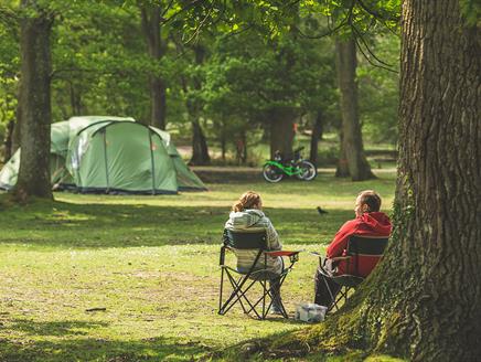 Hollands Wood Campsite, New Forest: Visit-Hampshire.co.uk