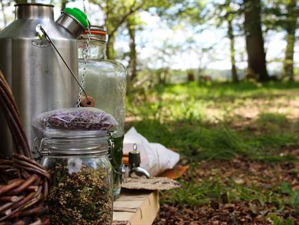 Guided Foraging Tour at Ewhurst Park