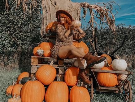 PYO Pumpkins and Halloween Events at Bickton Manor Farm
