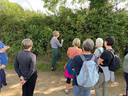 Foraging Workshop - April 2024 with Experience Hampshire