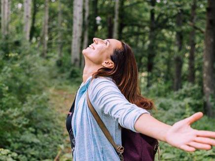 Forest Bathing at Sir Harold Hillier Gardens