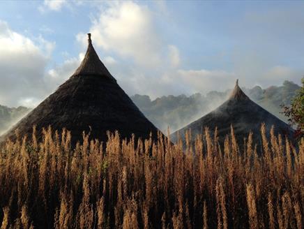 The roofs of Butser's roundhouses on a spring day.