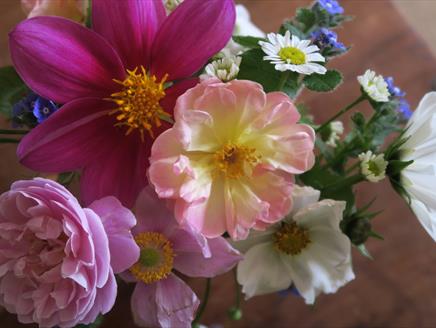 Privett Church Flower Festival