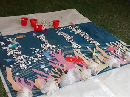 Marine Wonders at Lepe Country Park