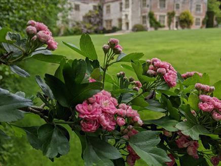 Summer Marquee Weekend at Chawton House