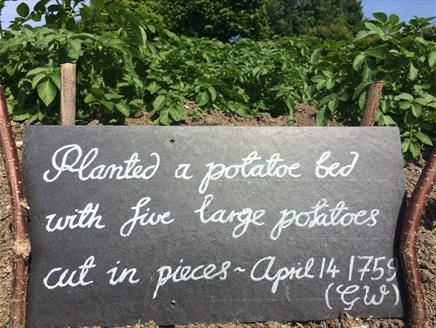 Summer Kitchen Garden Course at Gilbert White's House