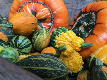 Harvest Fair at Gilbert White's House & Gardens