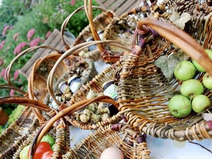 By Popular Demand! Weave a Willow Foraging Basket at Gilbert White's House & Gardens