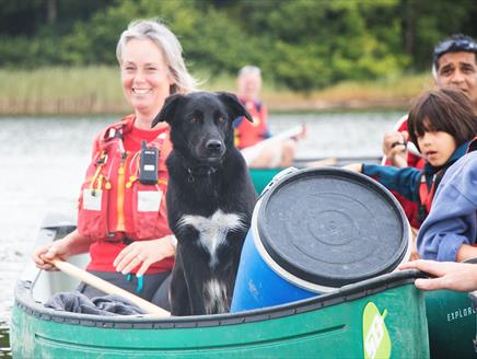Doggy Paddles with New Forest Activities