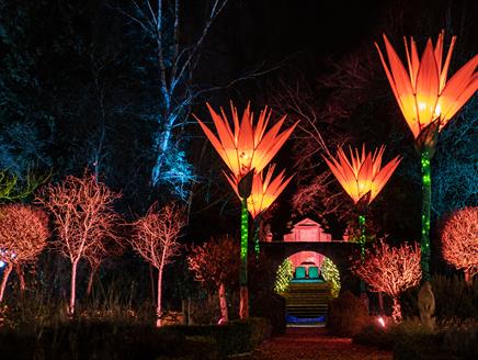 The Illuminated Garden at West Green House Gardens