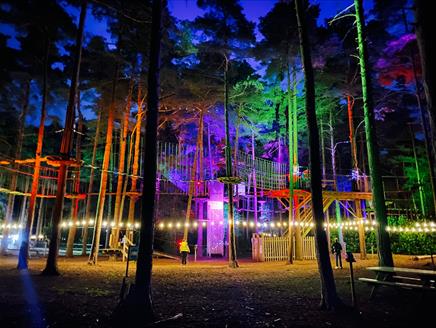 Go Ape x Sundown Adventures at Go Ape Moors Valley