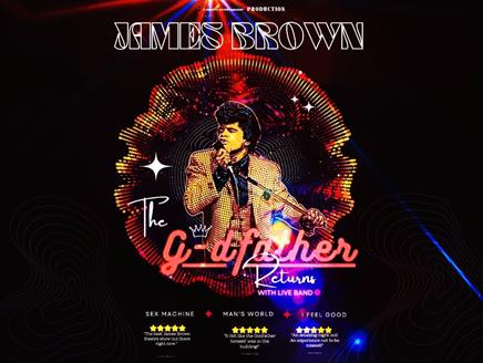 James Brown - the Godfather Returns